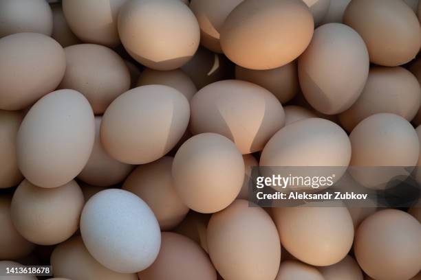 raw or boiled white eggs in a shell, in a plate on a wooden kitchen table. eggs for cooking, baking and for making omelets. animal protein. the concept of a healthy balanced diet. preparation for the easter holiday. eggs for painting. - chicken decoration stock-fotos und bilder