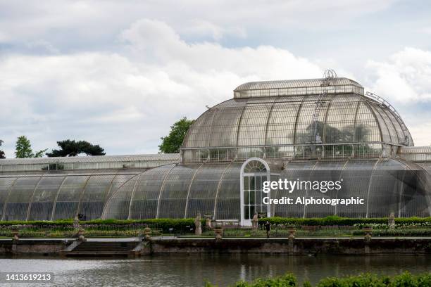 palm house of kew gardens - kew gardens conservatory stock pictures, royalty-free photos & images