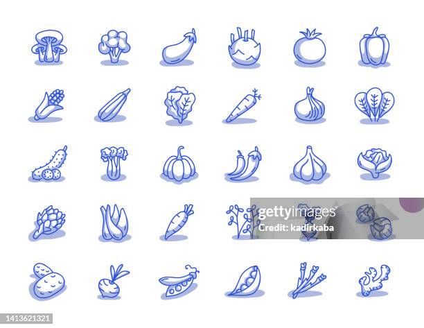 ilustraciones, imágenes clip art, dibujos animados e iconos de stock de conjunto de iconos de línea dibujada a mano de verduras - squash vegetable