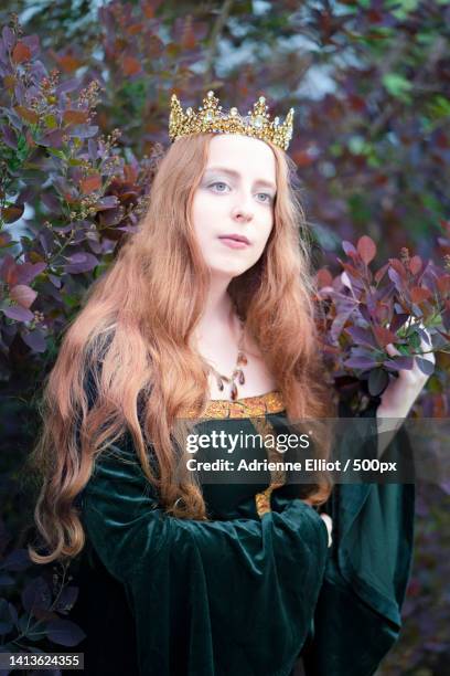 medieval fantasy portrait young woman in medieval dress and crown,image i,novi,michigan,united states,usa - medieval queen crown imagens e fotografias de stock