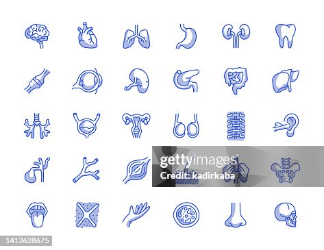 Human Organs Hand Drawn Line Icon Set Human Organs Hand Drawn Line Icon Set