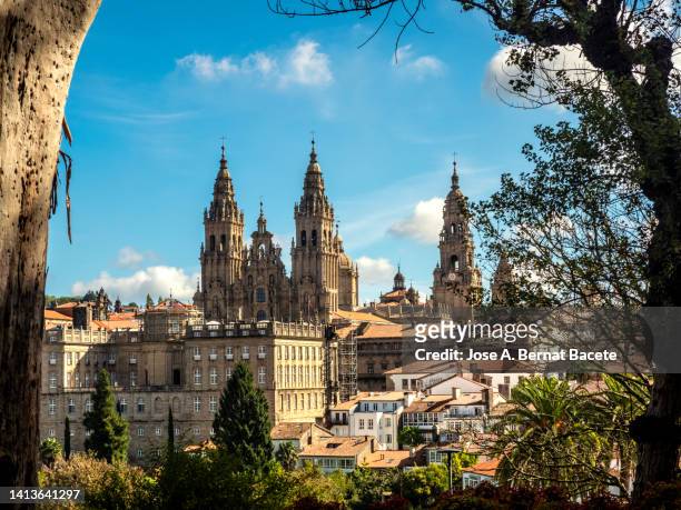 view of the city and cathedral of santiago de compostela in galicia. - santiago de compostela stockfoto's en -beelden