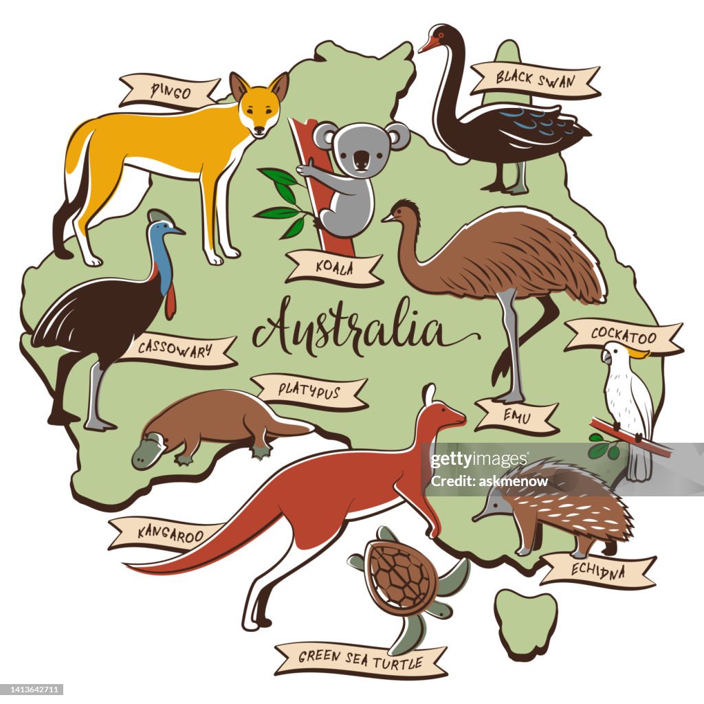 Animals and birds of Australia