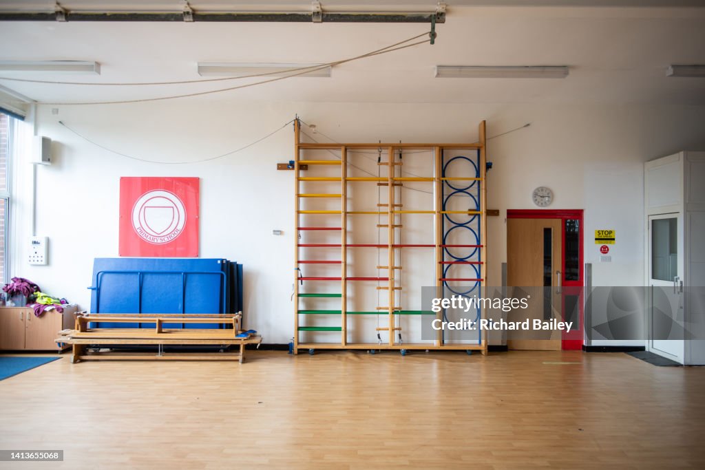 English primary school PE wall bars