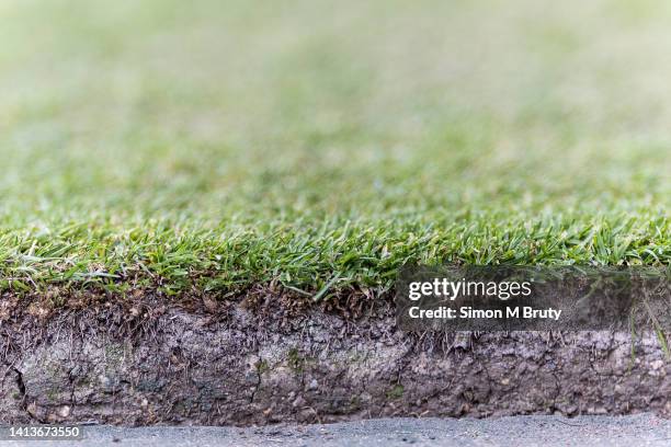 The grass on center court at The Wimbledon Lawn Tennis Championship at the All England Lawn and Tennis Club at Wimbledon on July 3rd, 2022 in London,...