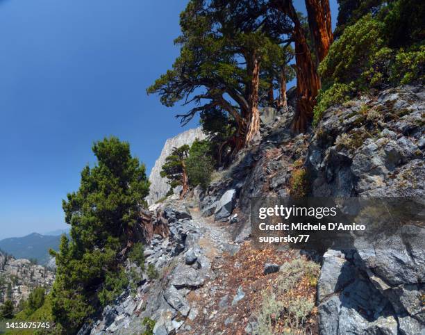 the beautiful high sierra trail - high sierra trail stock pictures, royalty-free photos & images