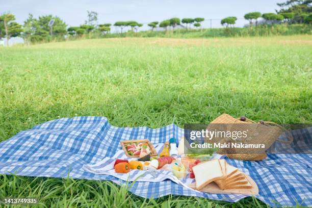 ingredients to make sandwiches for picnics. - manta de picnic fotografías e imágenes de stock