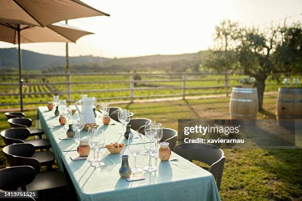 mesa al aire libre para degustación de vinos - vineyard fotografías e imágenes de stock