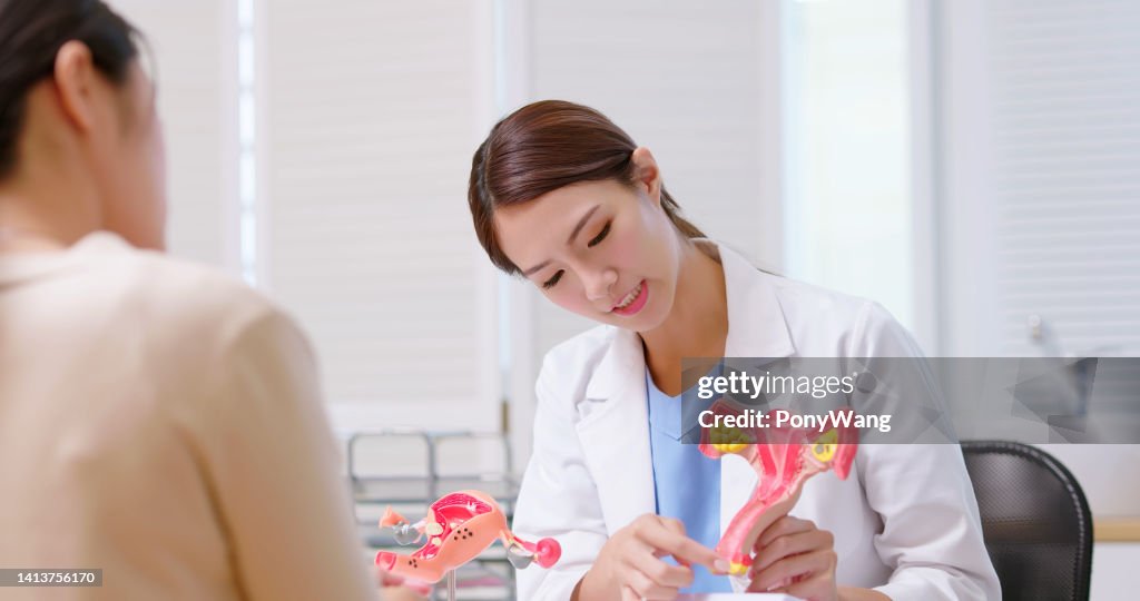 Explain uterus model