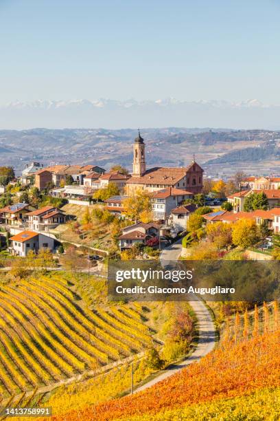 picturesque village of neive framed by vineyards, langhe wine region, piedmont, italy - piedmont italy stockfoto's en -beelden