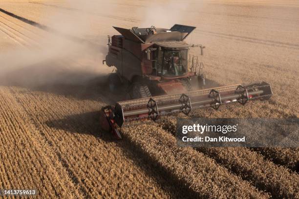 Combine harvester harvests wheat in fields near Lyminge on August 08, 2022 in Lyminge, England. As the climate warms, farmers across the UK have seen...