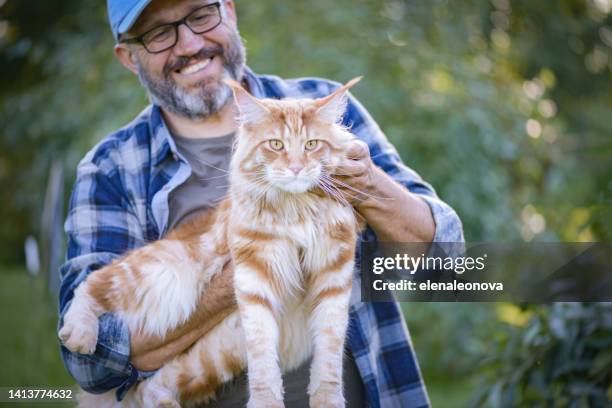 mature adult man in the garden with a cat - maine coon cat imagens e fotografias de stock