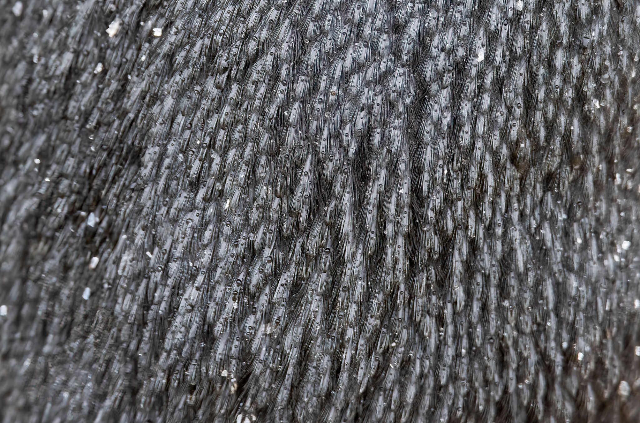 moisture wicking fabrics