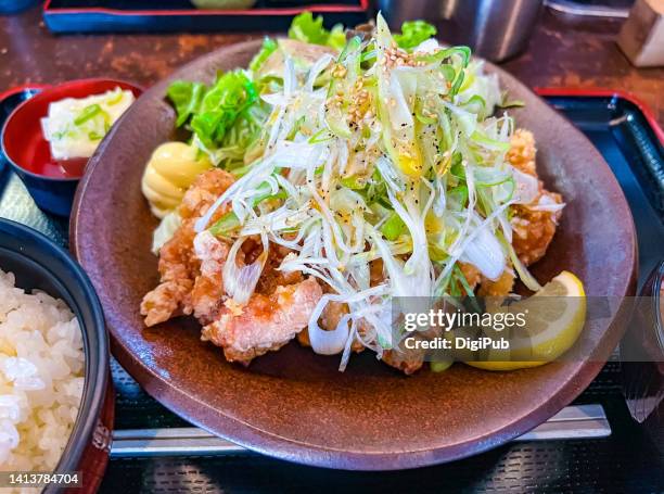 karaage teishoku - hiyayakko fotografías e imágenes de stock