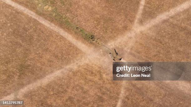 In this aerial photograph, a man walks his dog along a sun-bleached pathway in Richmond Park on August 09, 2022 in London, England. The Met Office,...