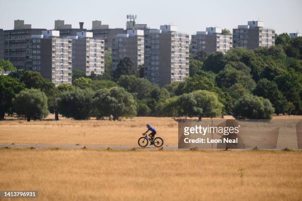 Cyclist rides between sun-bleached meadows in Richmond Park on August 09, 2022 in London, England. The Met Office, the UK's weather service, issued...