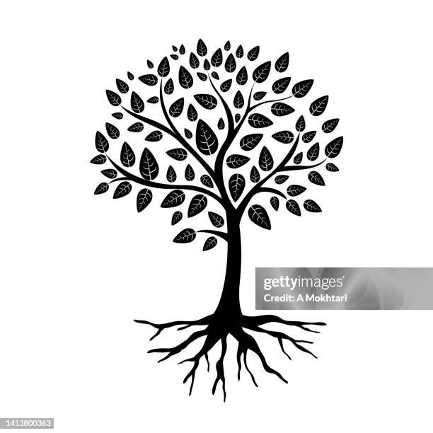 ilustrações, clipart, desenhos animados e ícones de ícone da árvore com raiz. - desenvolvimento
