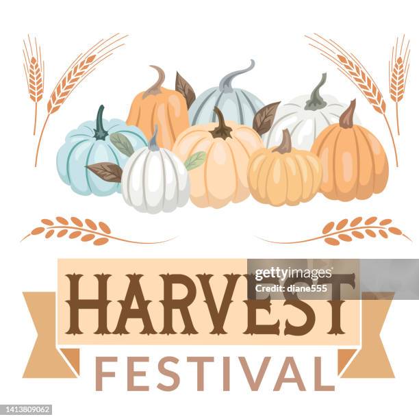 fall harvest festival elements on a transparent background - pumpkin patch stock illustrations