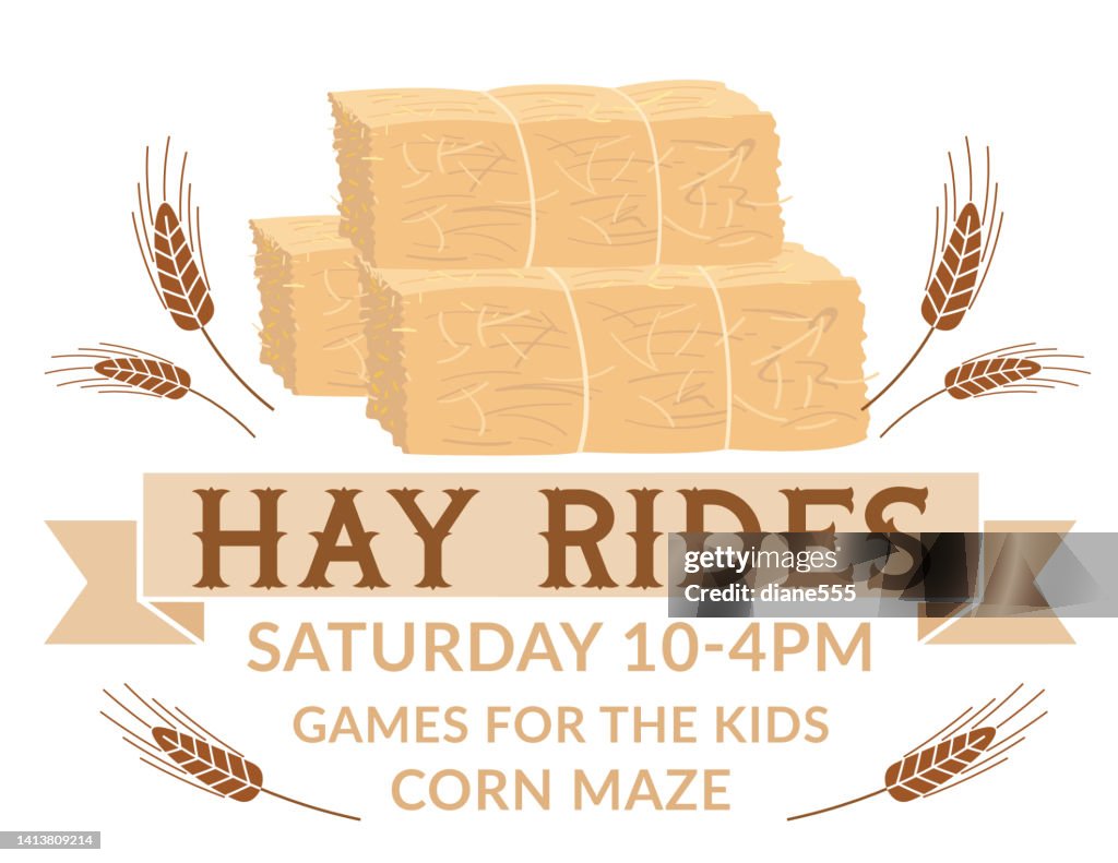 Fall Harvest festival Elements On A Transparent Background