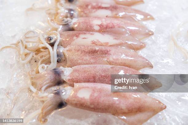 closeup fresh squid on the market for sale - cuttlefish stock pictures, royalty-free photos & images