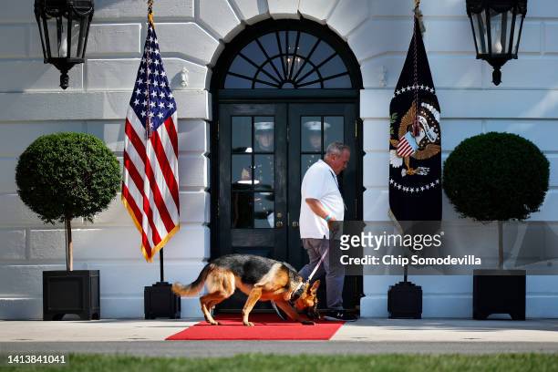 President Joe Biden's dog, Commander, is walked on the south side of the White House before a signing ceremony for the CHIPS and Science Act of 2022...