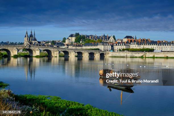 france, loir-et-cher (41), loire valley, blois, cityscape - loire-et-cher stock-fotos und bilder