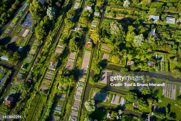 france, cher, bourges, the marsh of bourges - bourges stock-fotos und bilder