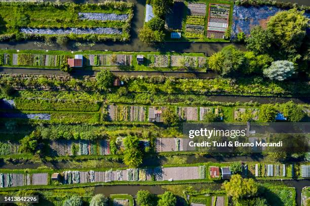 france, cher, bourges, the marsh of bourges - bourges 個照片及圖片檔