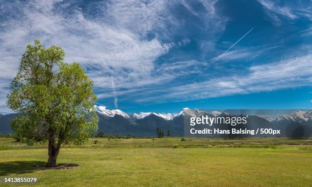 scenic view of field against sky,whitefish,montana,united states,usa - whitefish montana stock pictures, royalty-free photos & images