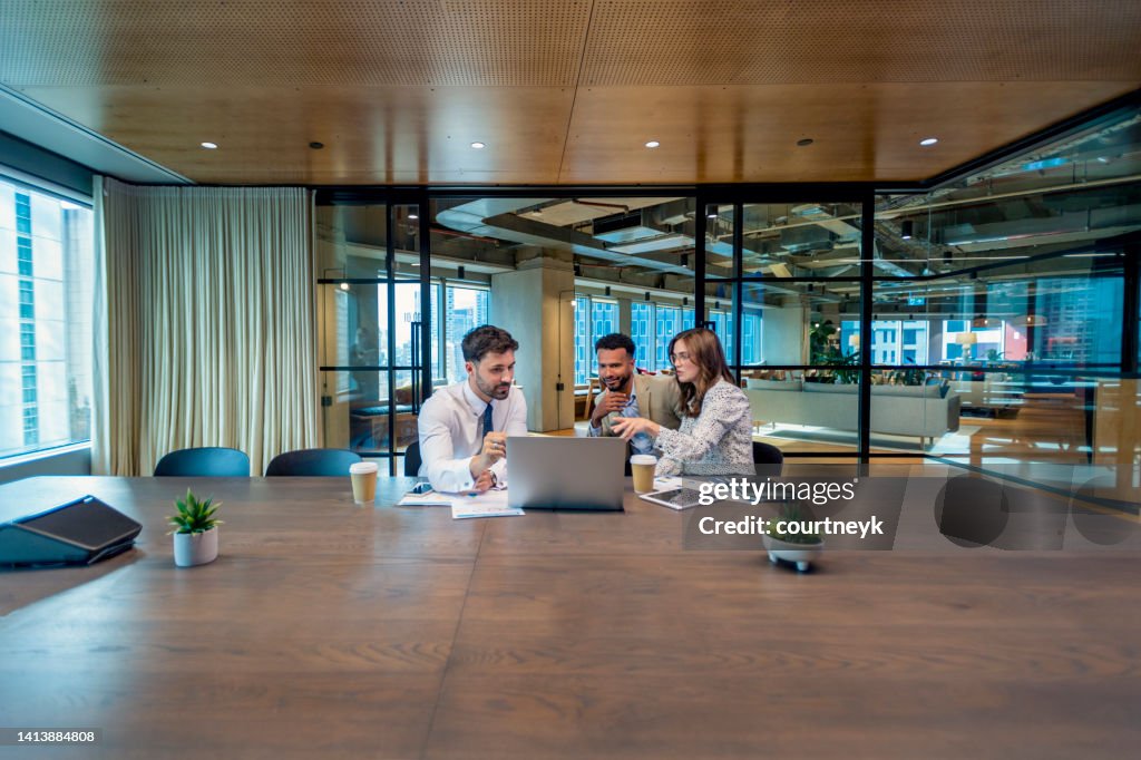 Business colleagues in a meeting, or Financial advisor or lawyer with couple explaining options.