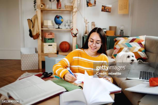 young girl studying with her dog next to her - studentenhuis stockfoto's en -beelden