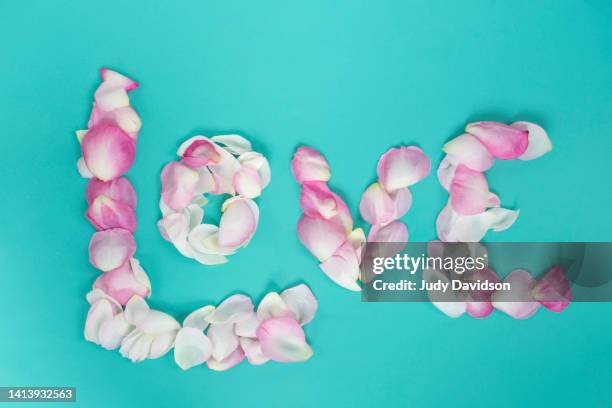 love written with rose petals with room for text - letra e - fotografias e filmes do acervo