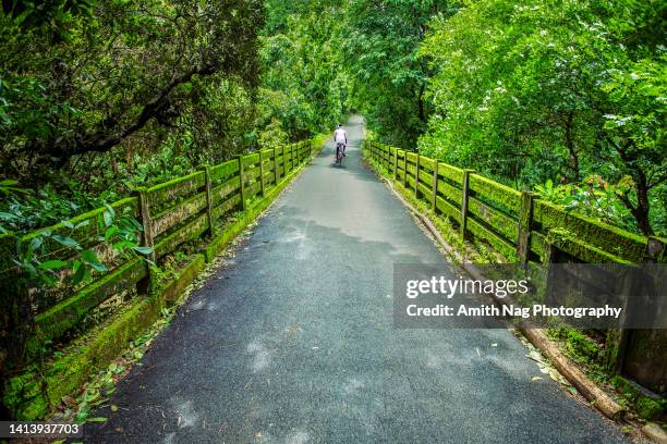 the green road - monsoon stock pictures, royalty-free photos & images