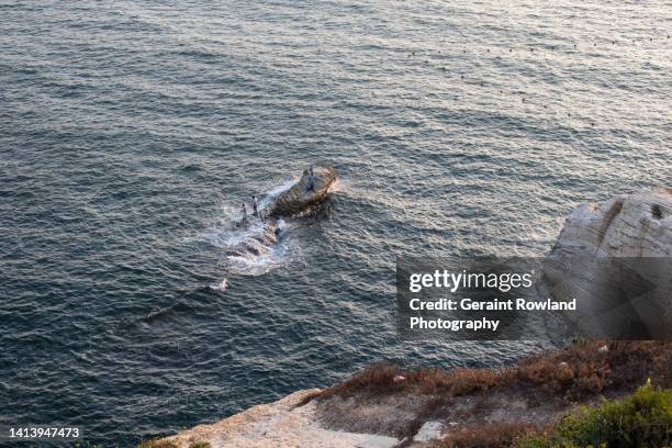 beirut travel photography, lebanon - national geographic society stock-fotos und bilder