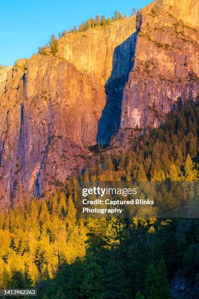 closeup of rocky mountains and redwood trees during sunset in yosemite valley - mariposa county photos et images de collection
