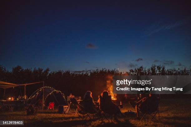 rear view of a group of people spending time together, sitting in camping chairs  around a burning camp fire in camping field - fuego al aire libre fotografías e imágenes de stock