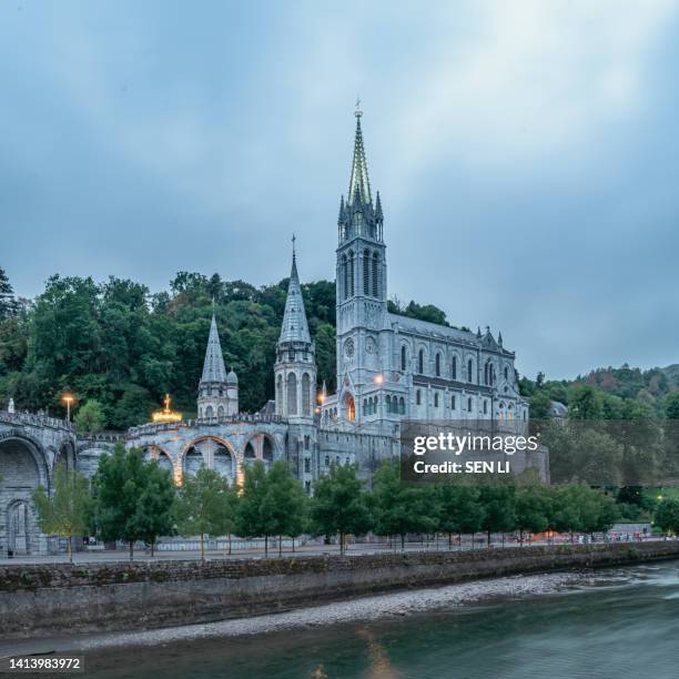 landscapes of the basilica of our lady in lourdes at night, france - our lady of lourdes stock pictures, royalty-free photos & images