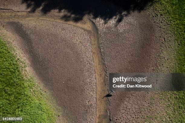 Grey heron stands besides a drying up stream into Weir Wood reservoir, which is currently 60% full, on August 10, 2022 in Crawley, United Kingdom....