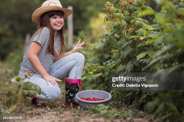 Iron Deficiency Raspberry 122 Iron Deficiency In Plants Stock Photos, High-Res Pictures, and ...