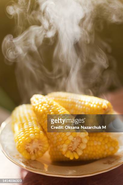 boiled tasty sweetcorn cob on plate - boiled stockfoto's en -beelden