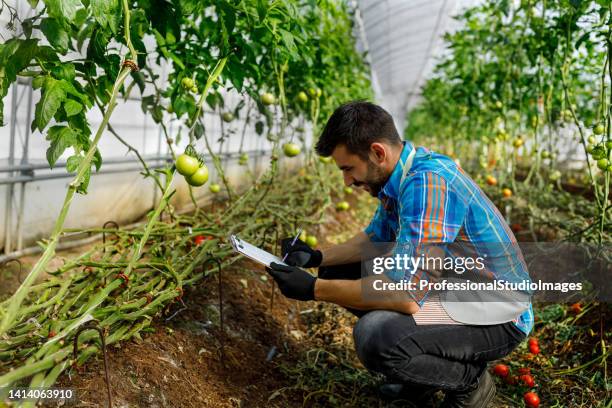 Lab Picker Lab Picker Foto e immagini stock - Getty Images