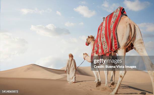 camel train in a desert - abu dhabi people stock pictures, royalty-free photos & images