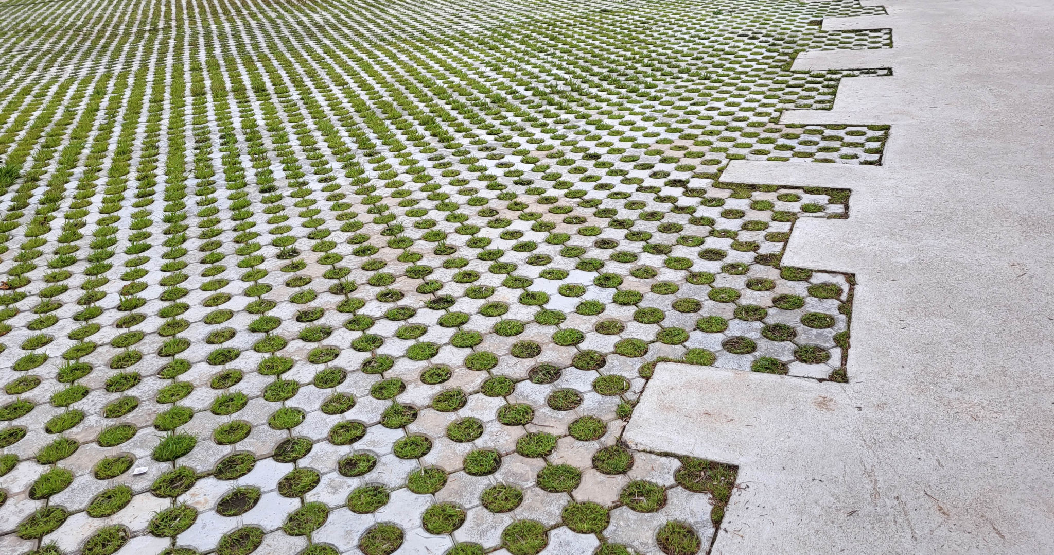 eco-friendly paving