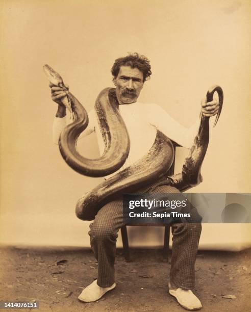 Portrait of an unknown man sitting on a chair with a boa constrictor around his neck, Boa Constrictor No. 236 , anonymous, Zuid-Amerika, 1880 - 1900,...