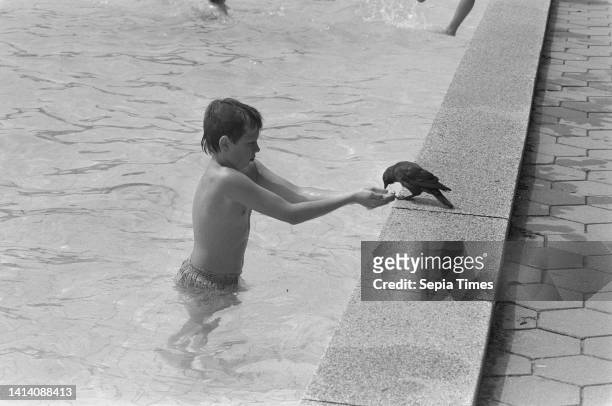 Beautiful weather; cooling off, boy gives jackdaw water, August 8 birds, The Netherlands, 20th century press agency photo, news to remember,...