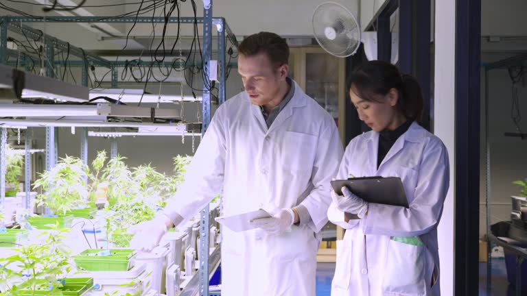 Test Lab Survay 59 Sample Survey Stock Videos, Footage, & 4K Video Clips - Getty Images