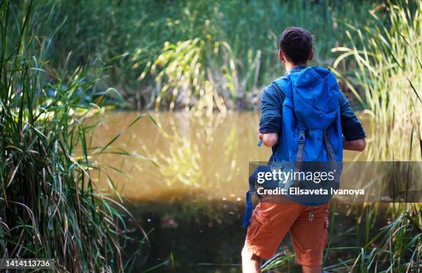 hiker enjoying the beauty of nature - rietkraag stockfoto's en -beelden