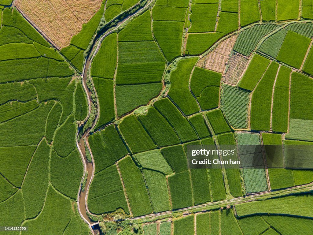 Aerial view of green fields of traditional agriculture