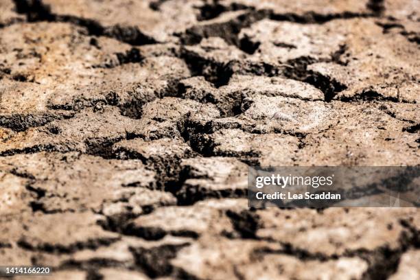 close-up of dried earth - riverbed stock pictures, royalty-free photos & images