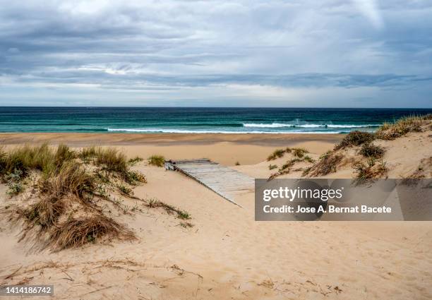 landscape of the galician coast with a large sandy beach. - midday stock pictures, royalty-free photos & images